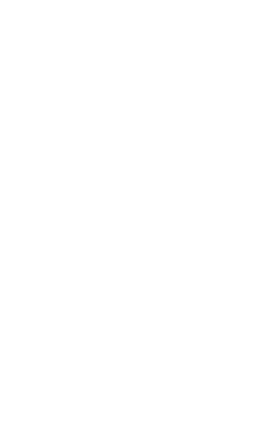 Limono socks, made in Portugal of organic cotton