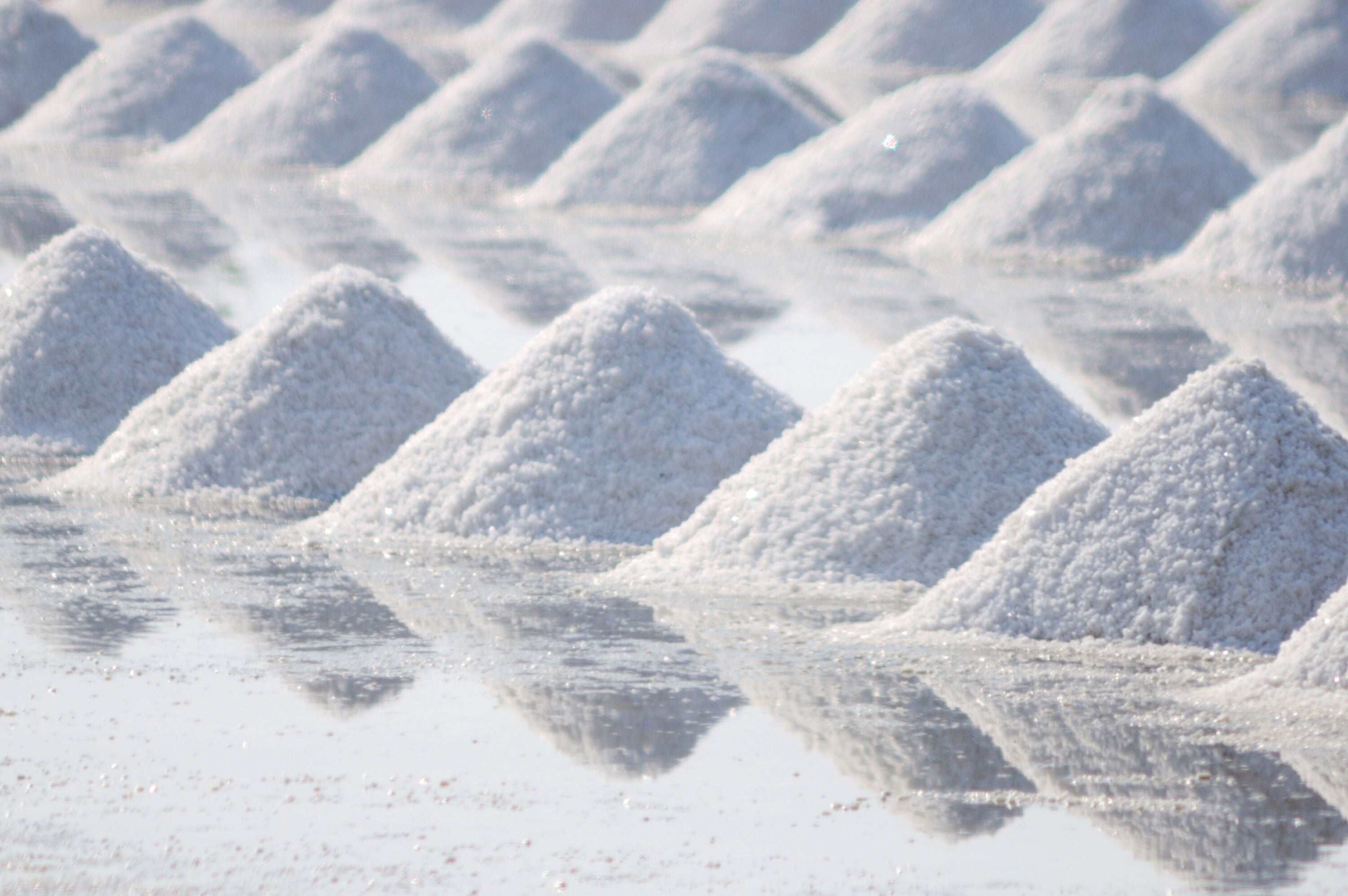 Conical white salt mounds drying on the Aveiro salina with mirror reflections, Portugal