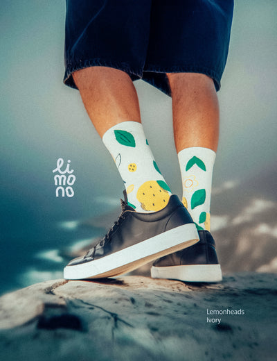 Cropped legs on rock with dark sneakers wearing Limono Lemonheads Ivory socks