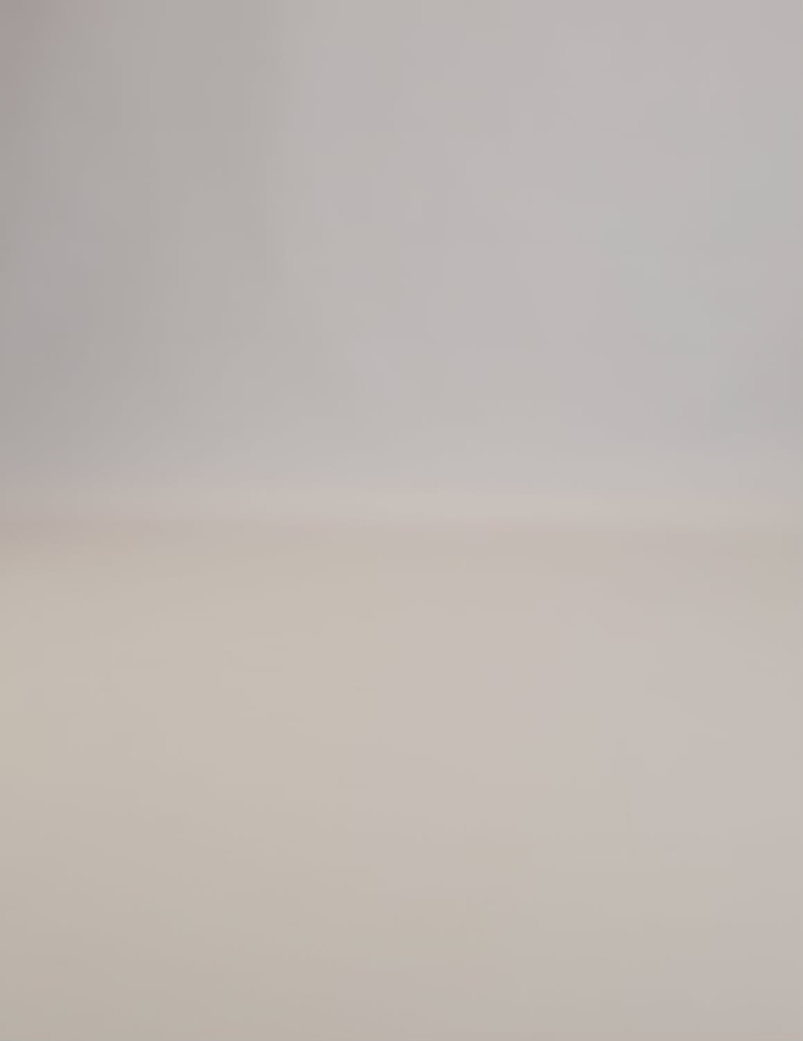 Limono Socks Christmas collection. Illustrated socks on trend made in Portugal. Organic combed cotton. 