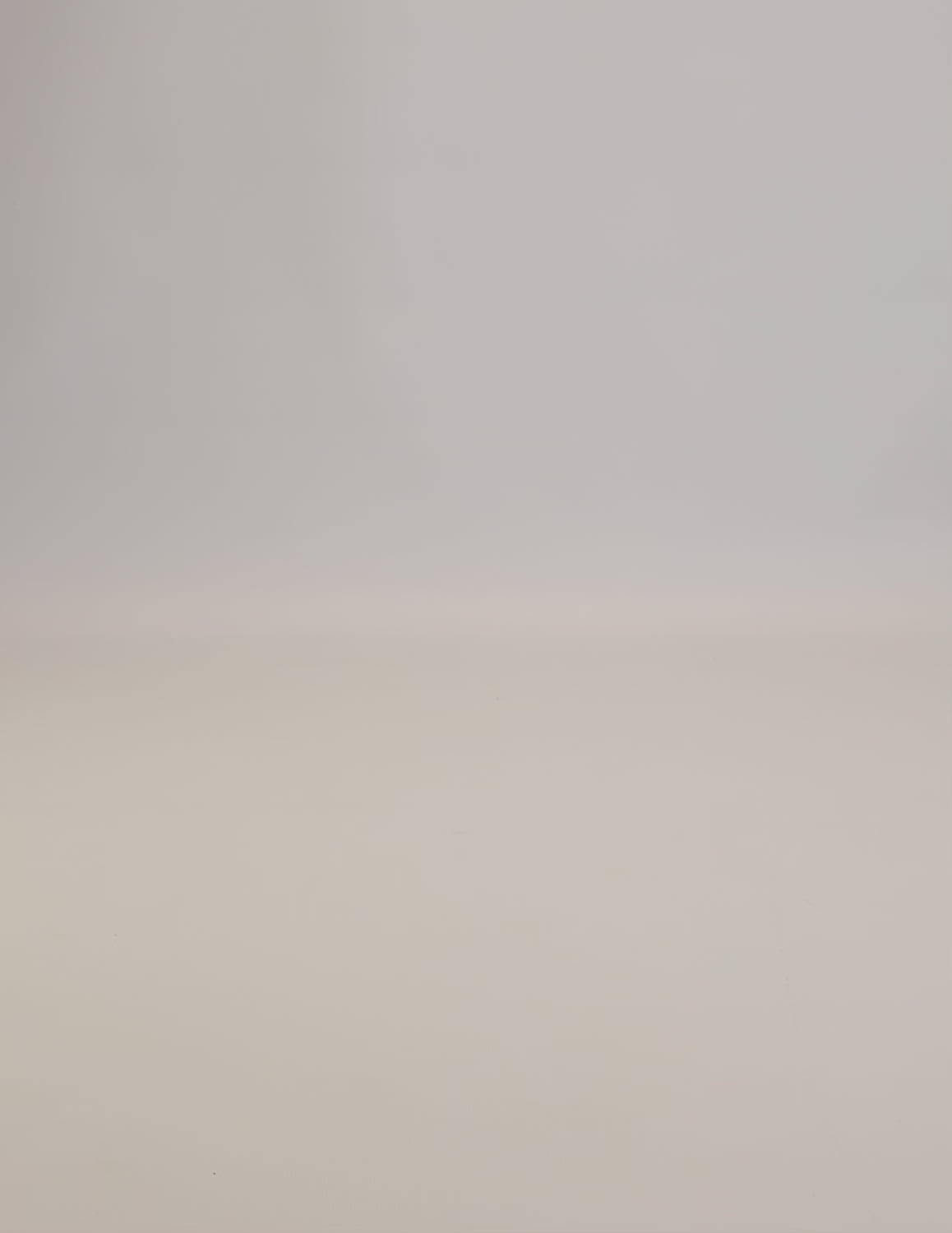 Limono Socks Christmas collection. Illustrated socks on trend made in Portugal. Organic combed cotton. 